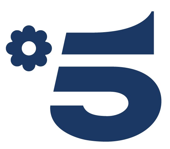 Logo Canale5
