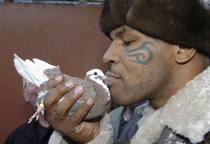 Mike Tyson star per Animal Planet in un reality show sui piccioni