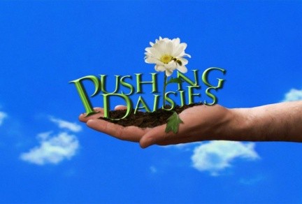 pushing daisies 5