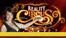 Reality Circus