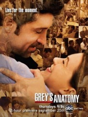 Grey s anatomy 5